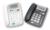 Grandstream BudgeTone 101 and 102